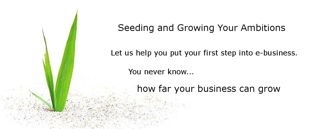 Seeding and Growing Your Ambitions